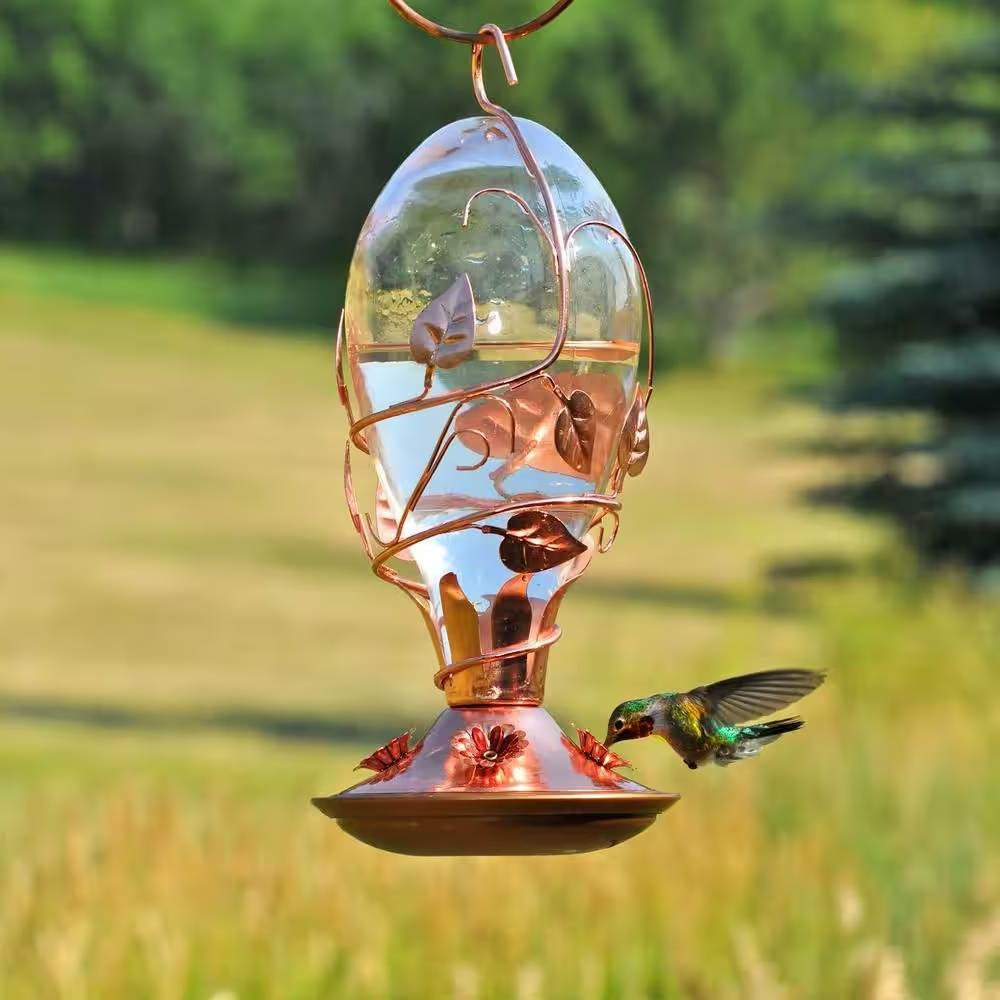Hummingbirds