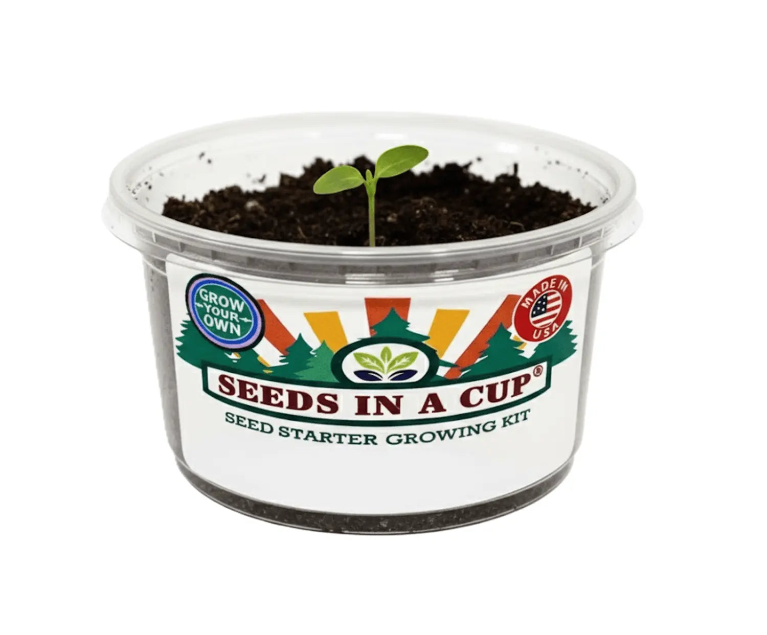 Seeds in a Cup Easy Grow Kits