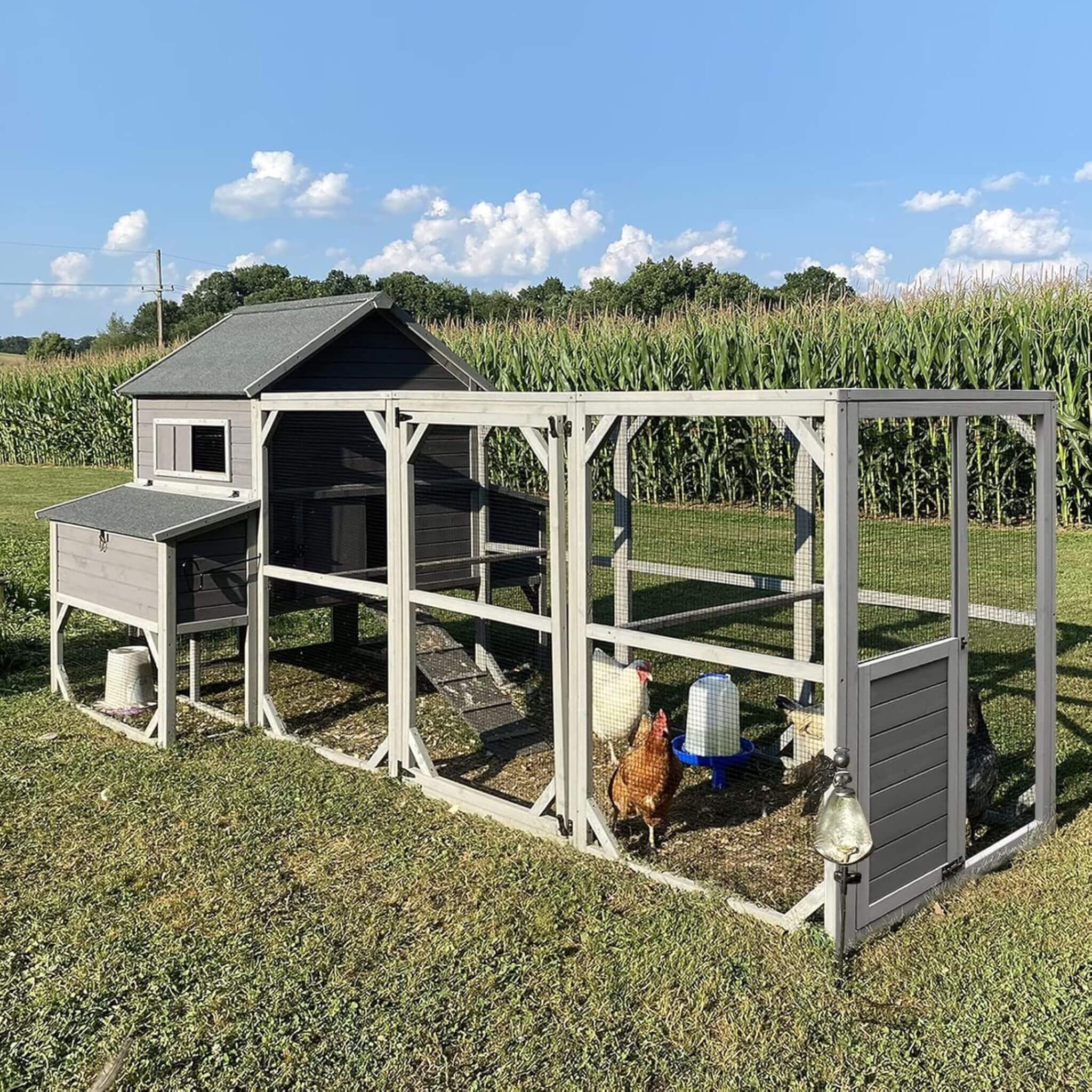 Chicken Coops & Hen Houses