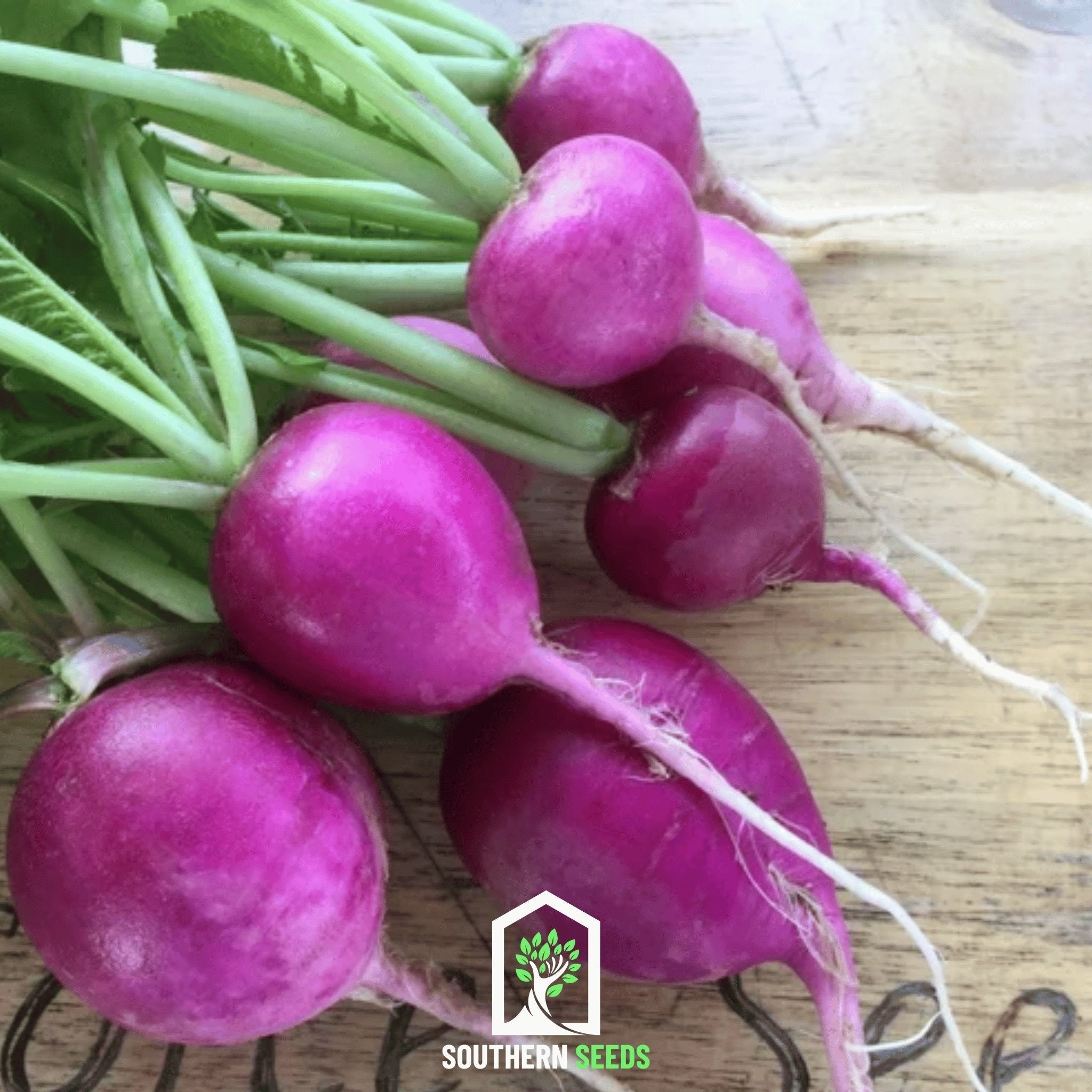 Fast Growing Vegetables