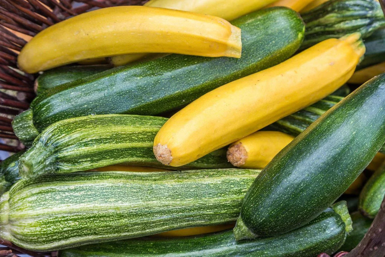 Easy Vegetables for Beginners