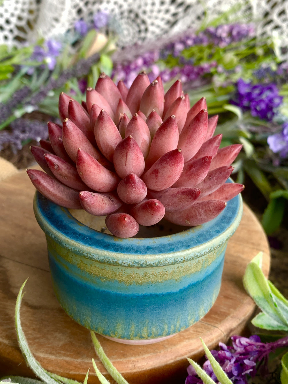 SC-0020 Handmade Artisan Pottery Planter Pot - Pot Rim Diameter: 2.3"