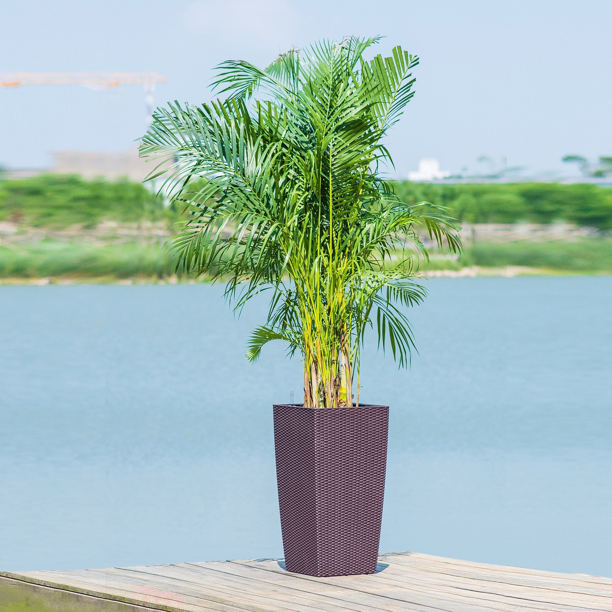 30 in Tall Large Flower Pot Planter with Self-Watering Drainage Holes