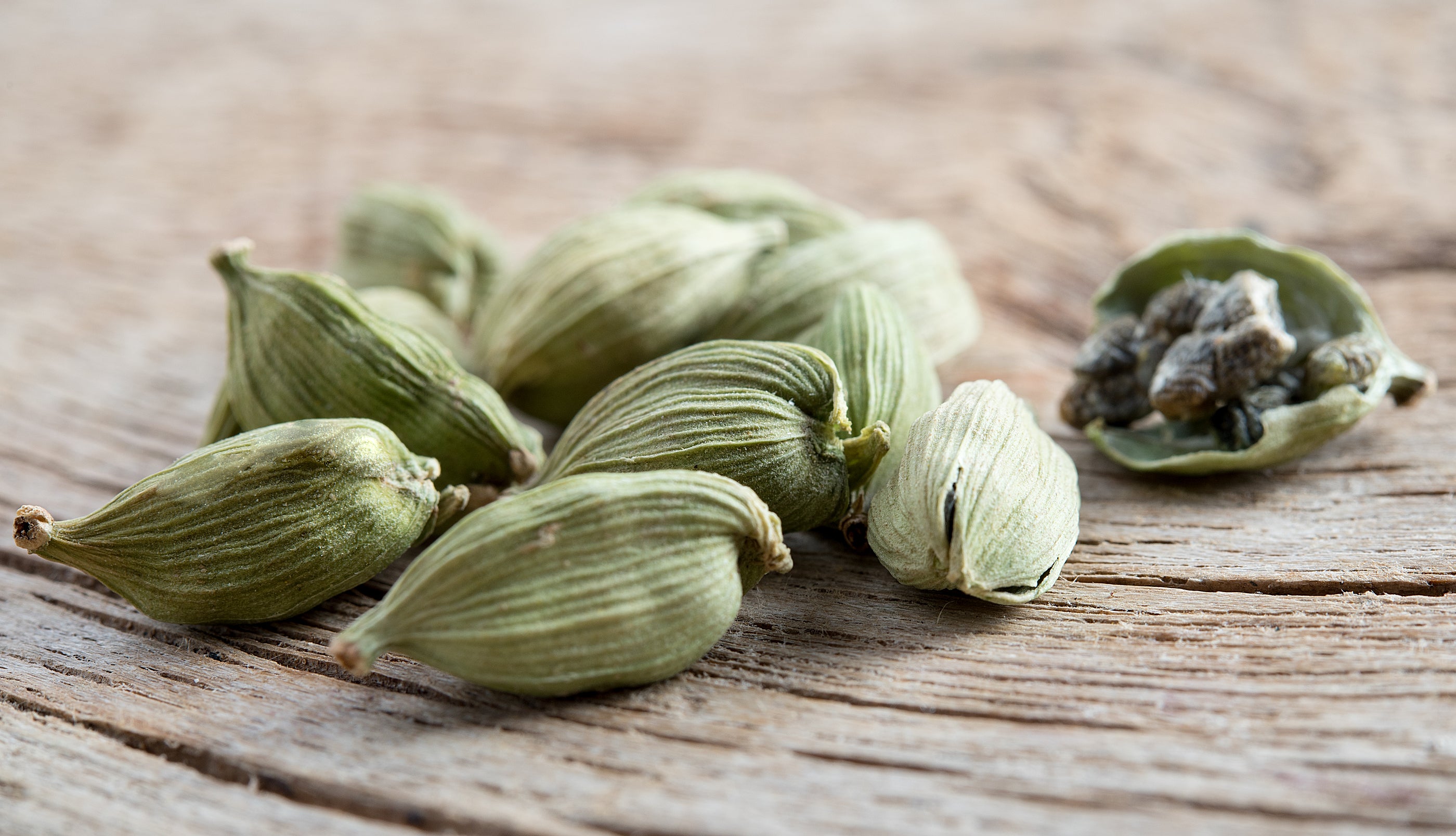 Cardamom (Elettaria cardamomum)