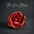 Echeveria 'Red Lantern' Approx. 3"–3.5" in Diameter