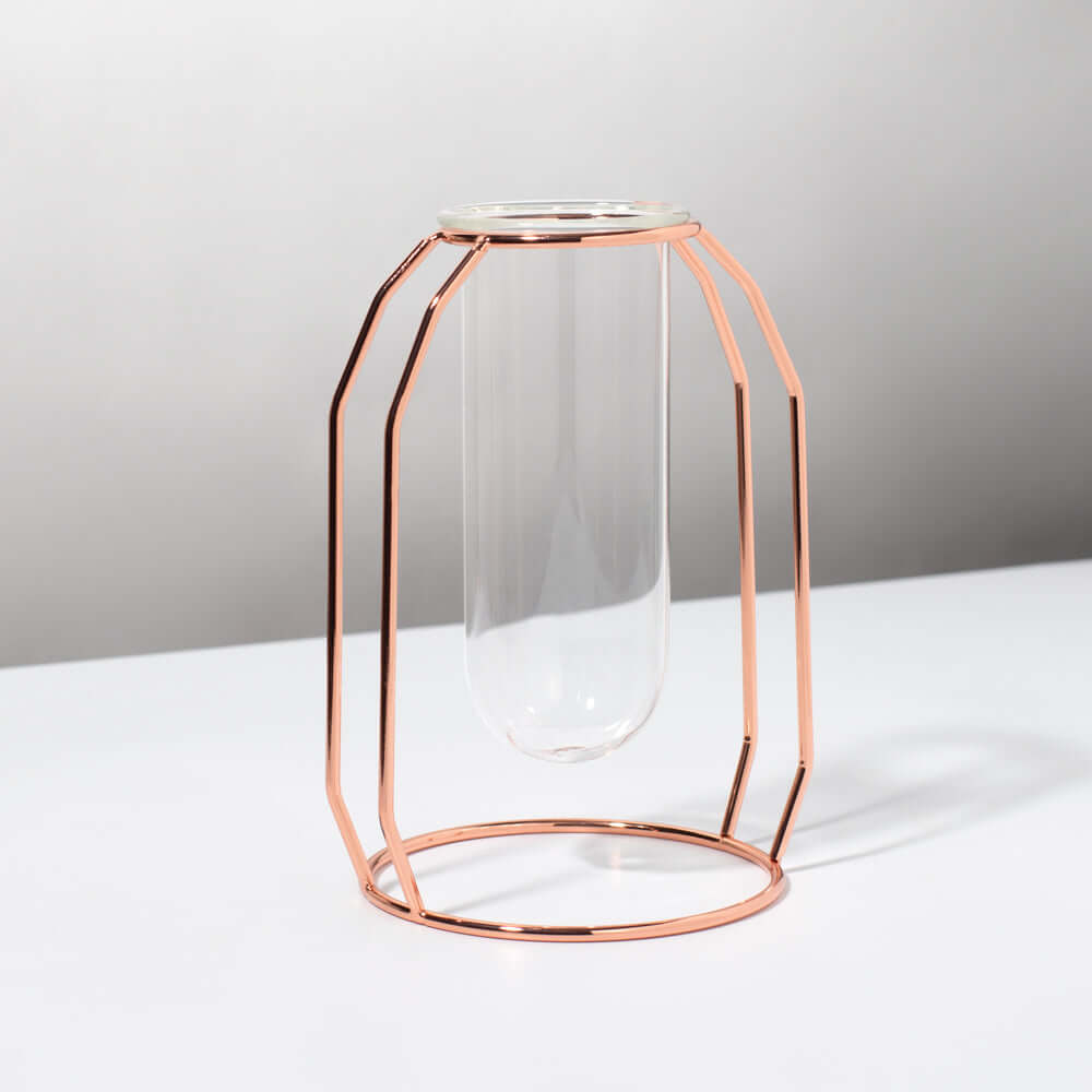 Lyfe Propagation Station - Single Tube Rose Gold