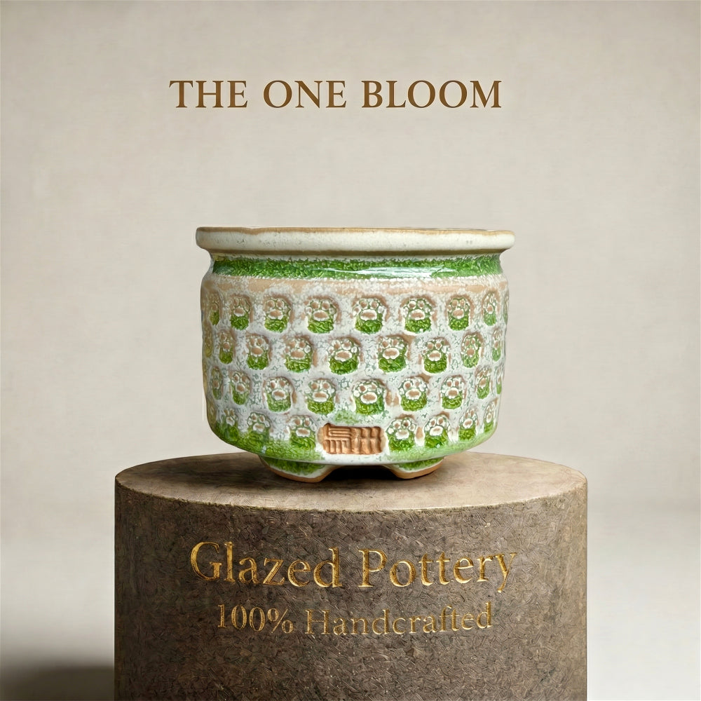 WS-0047 Unique Handmade Pottery Planter Pot - Pot rim diameter: 2.4"