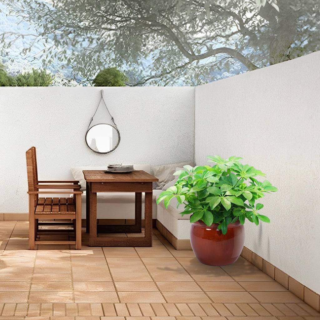 3 Pieces Ceramic Flowerpot, Modern Planter for Patio, Garden or Windowsills - Orange