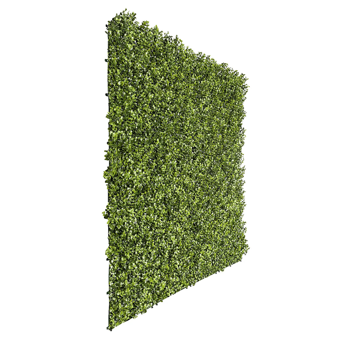 Sample Panel – Natural Boxwood Green Wall (Small Sample)