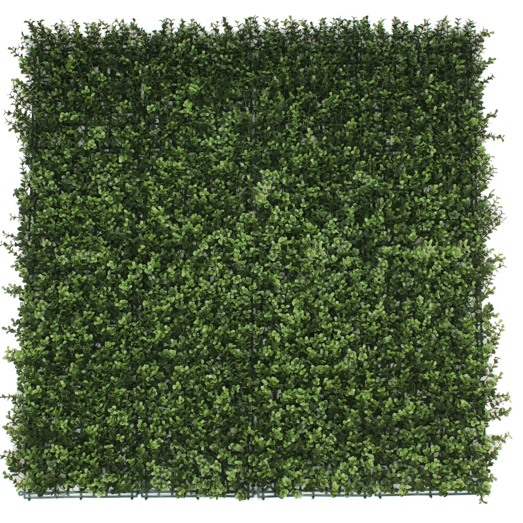 Sample Panel – Natural Boxwood Green Wall (Small Sample)