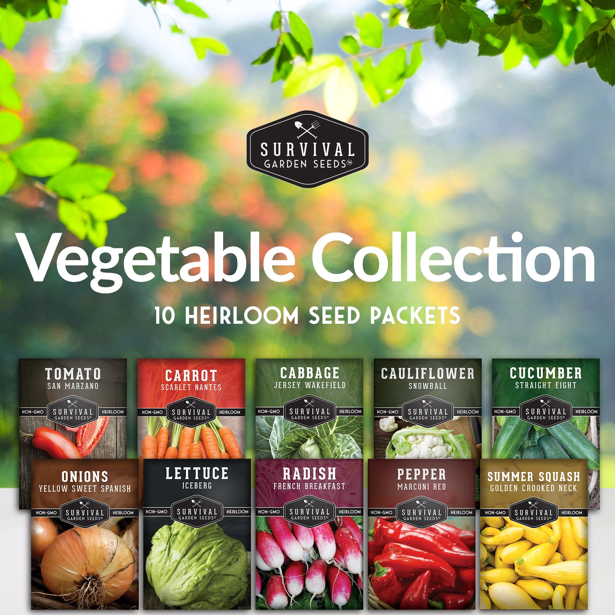 10 Heirloom Non-GMO Vegetable Seed Collection – Open-Pollinated Varieties for Home Gardens
