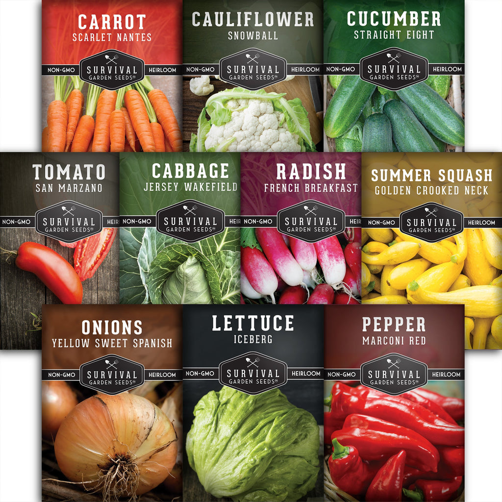 10 Heirloom Non-GMO Vegetable Seed Collection – Open-Pollinated Varieties for Home Gardens