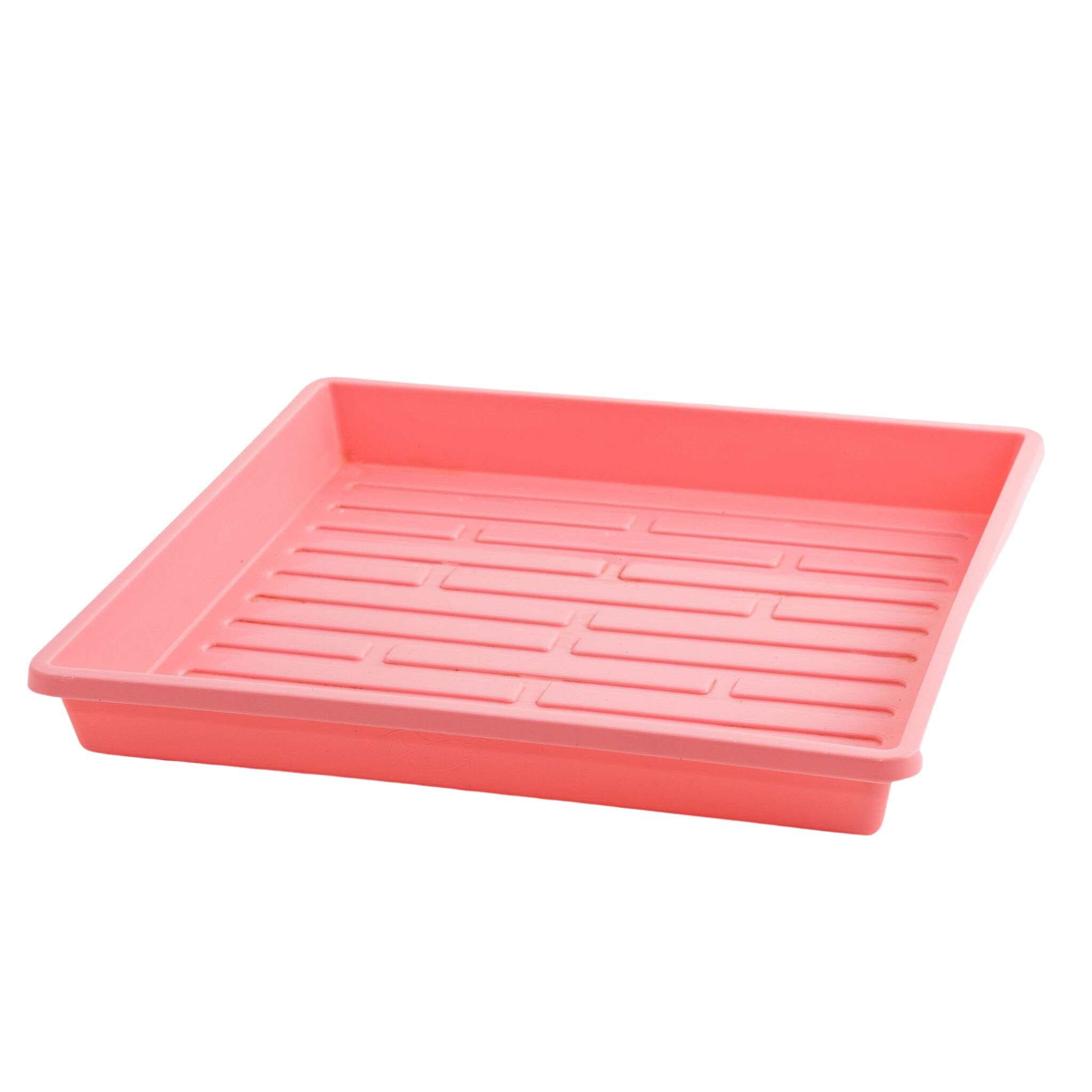 1010 Extra Strength Shallow Seed Trays