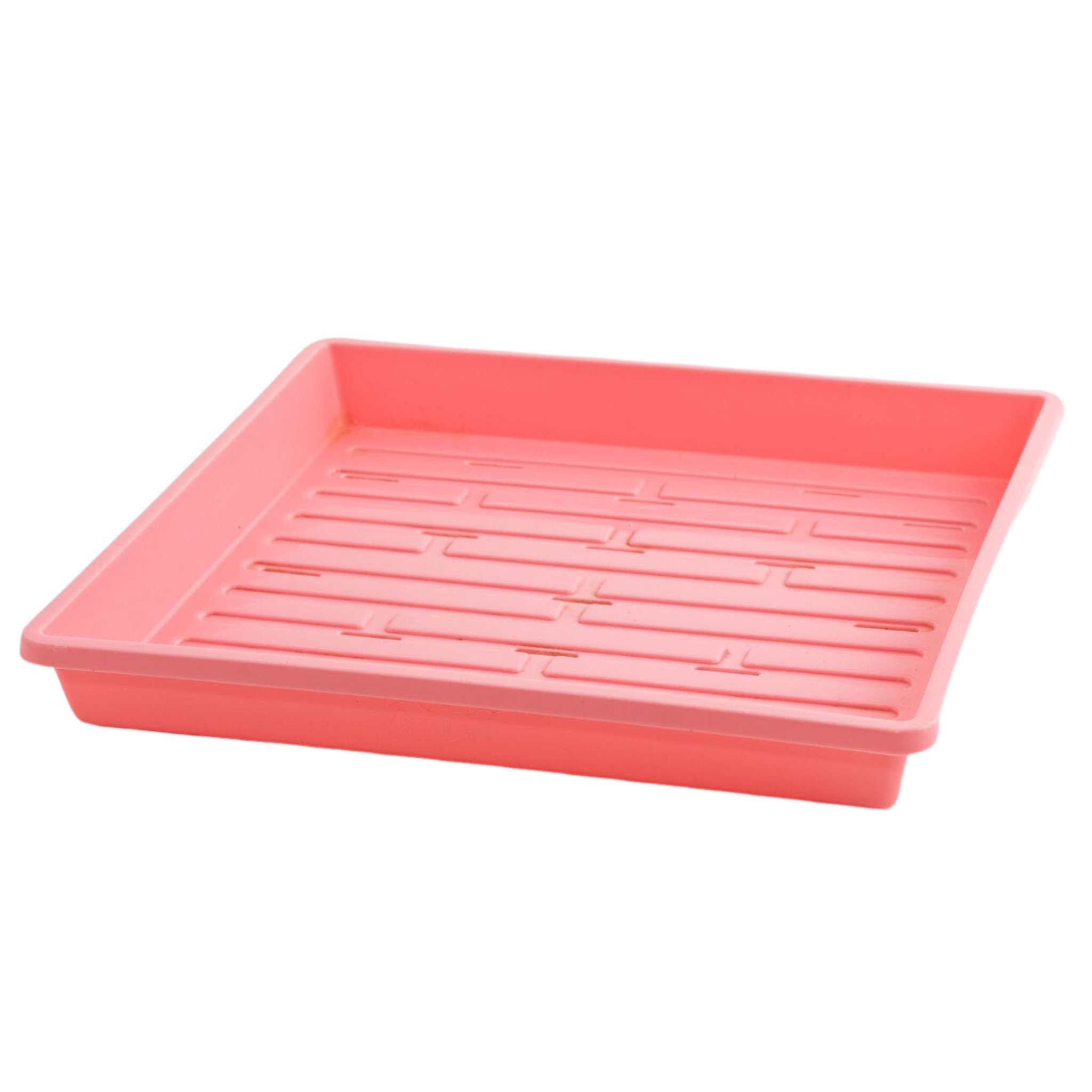 1010 Extra Strength Shallow Seed Trays