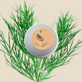 Organic Dill Seeds