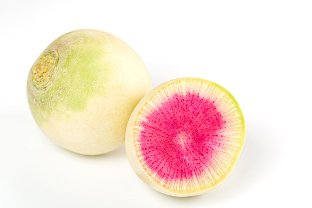 500 Watermelon Radish