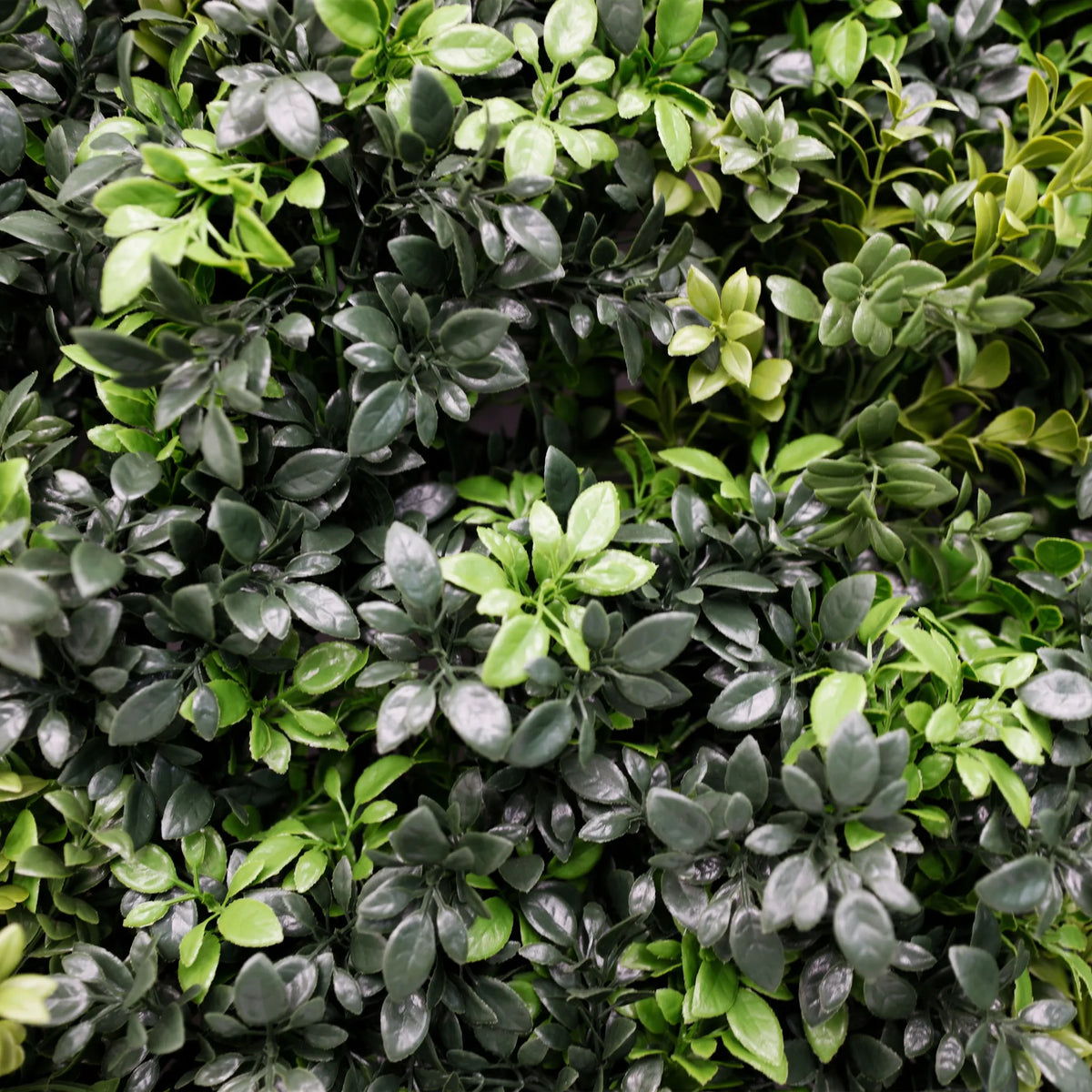 Mixed Green Ultra Dense Boxwood Artificial Vertical Garden Green Wall Panel 40×40in 11 SQ FT – NFPA 701 Certified – Metal Backed – UV Resistant – Commercial Grade