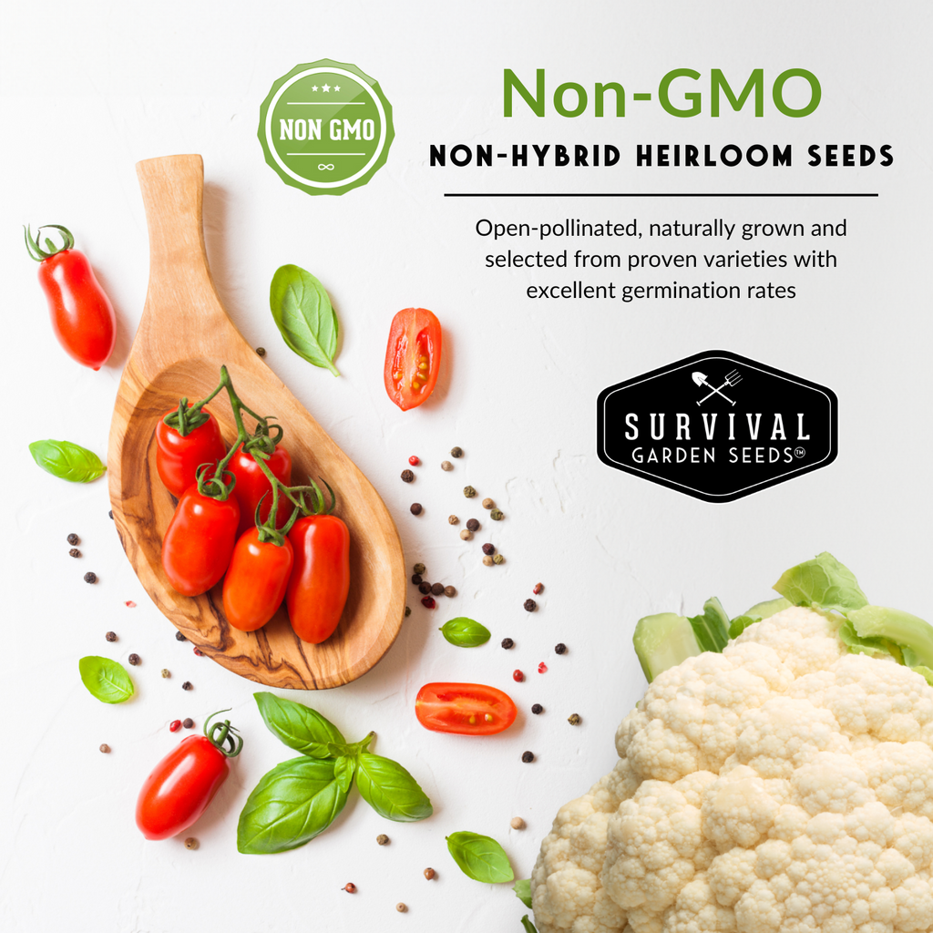 10 Heirloom Non-GMO Vegetable Seed Collection – Open-Pollinated Varieties for Home Gardens