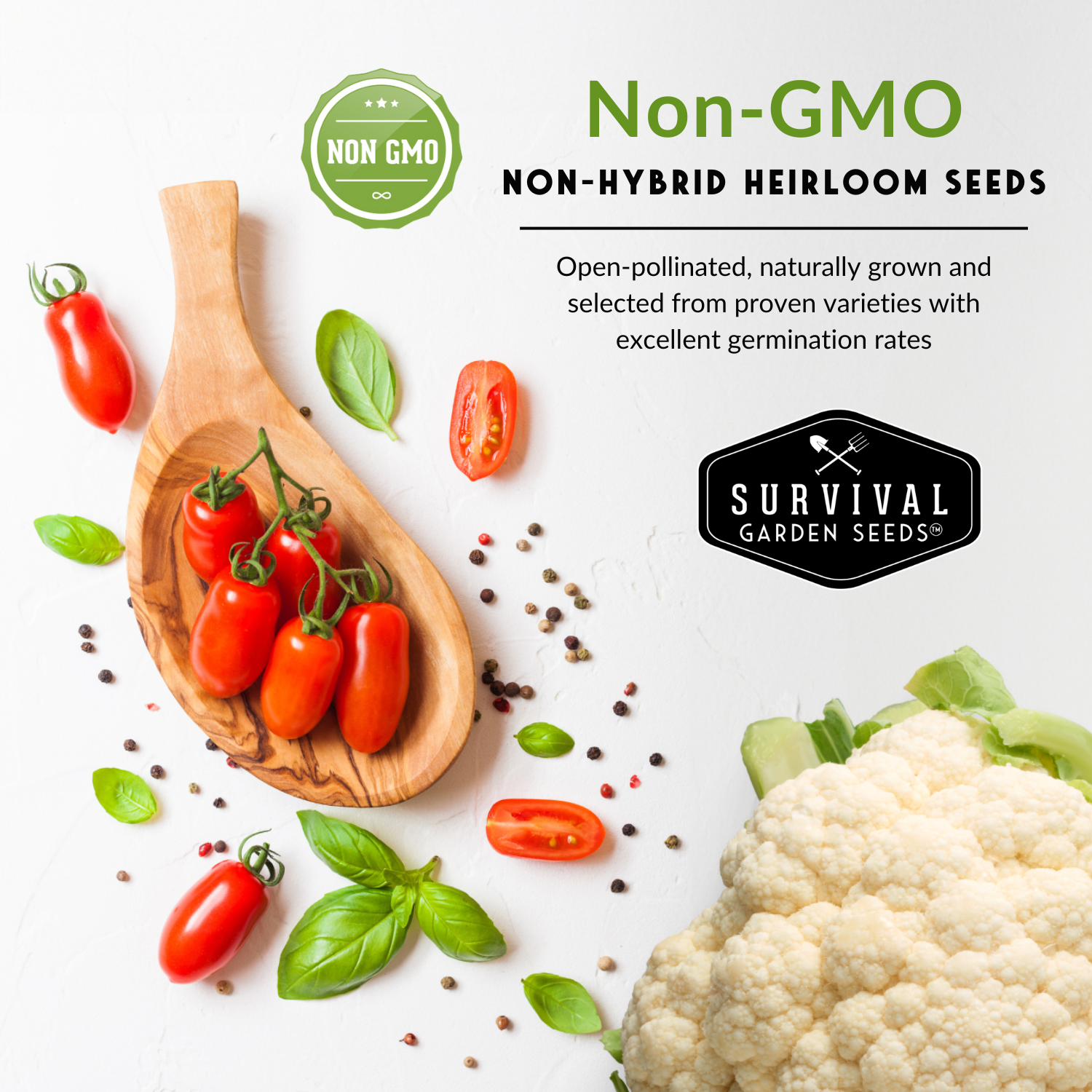 10 Heirloom Non-GMO Vegetable Seed Collection – Open-Pollinated Varieties for Home Gardens