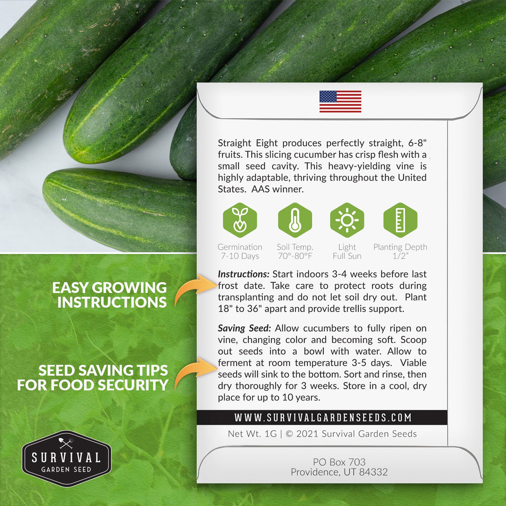 10 Heirloom Non-GMO Vegetable Seed Collection – Open-Pollinated Varieties for Home Gardens
