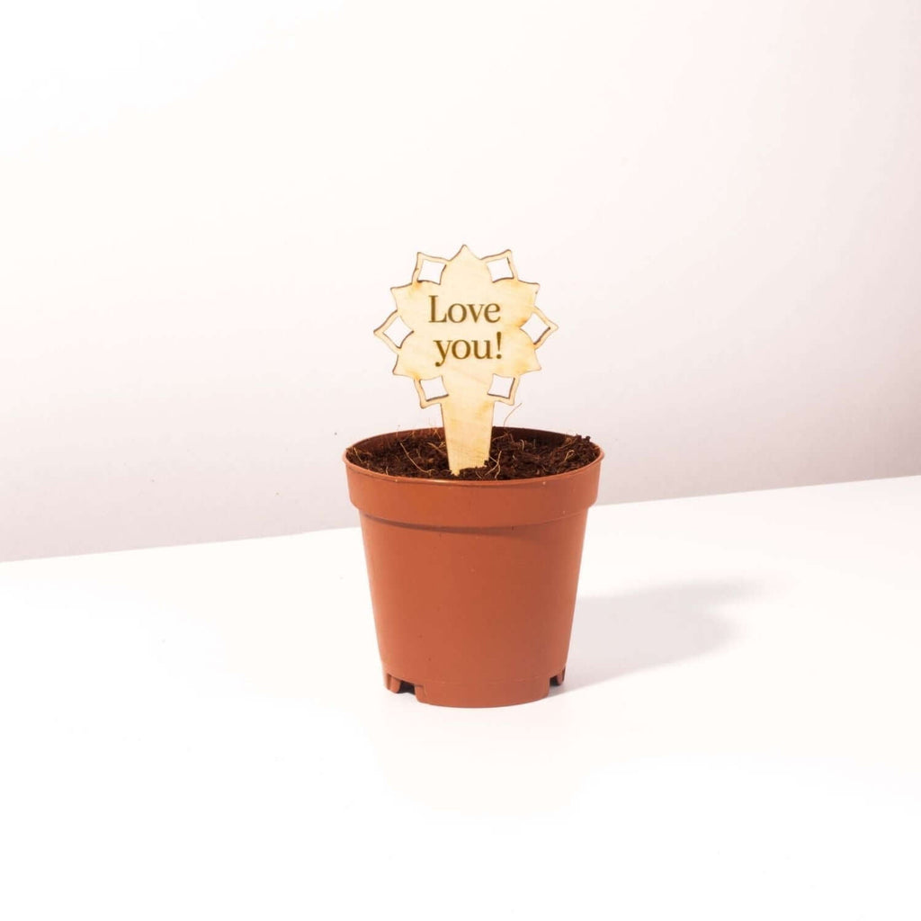 Plant Message Stakes - Add On Item