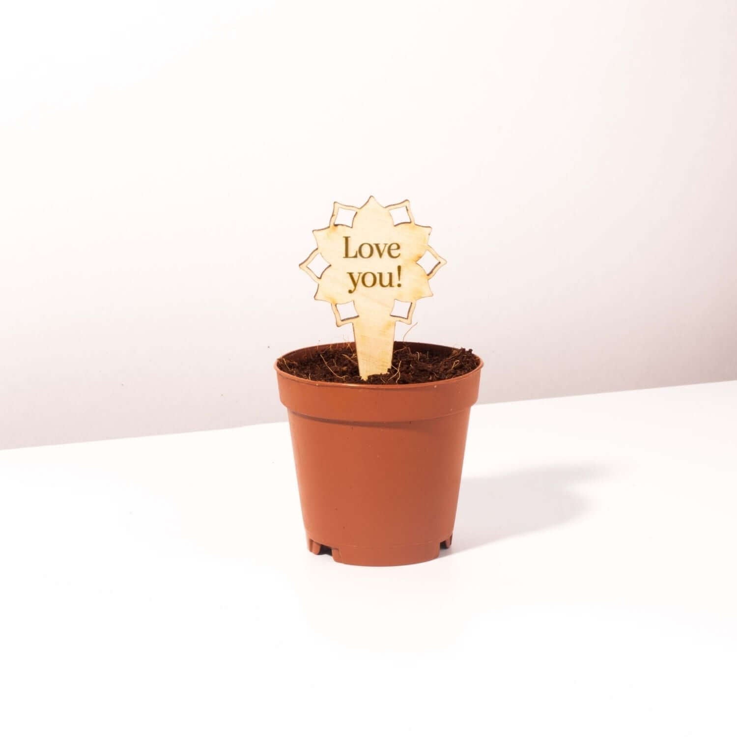 Plant Message Stakes - Add On Item