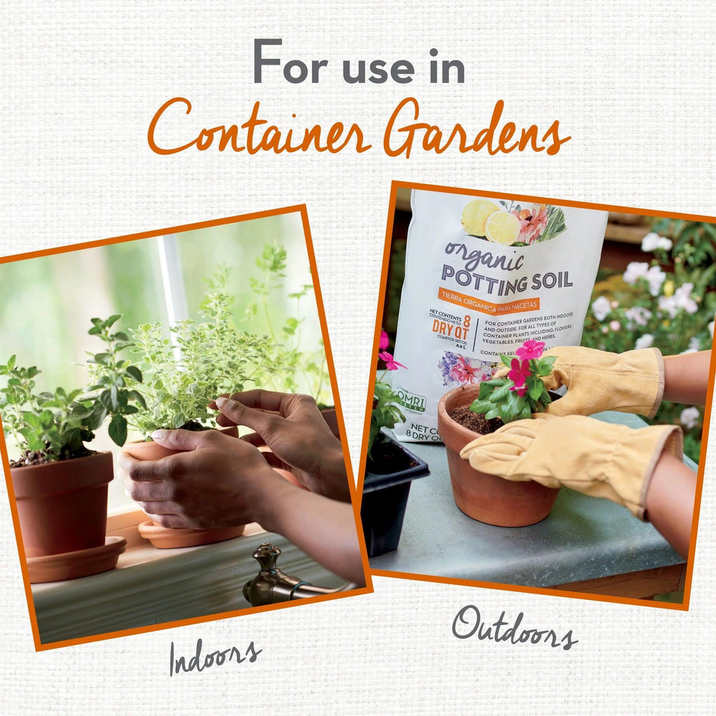 Organic Potting Soil for Container Gardens, 8 Dry Qt.
