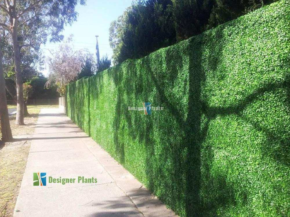 Sample Panel – Dark Boxwood Green Wall (Small Sample)