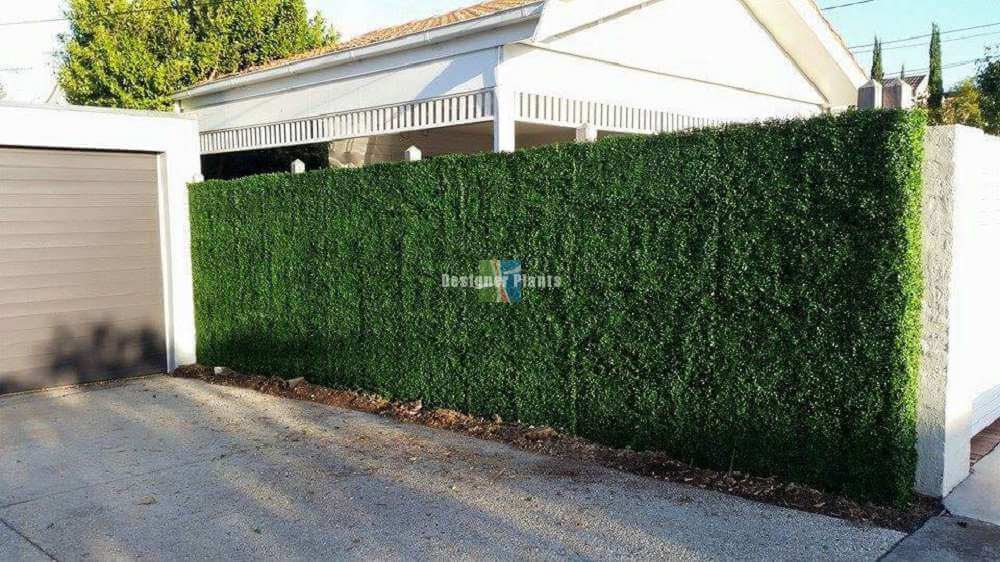 Sample Panel – Dark Boxwood Green Wall (Small Sample)