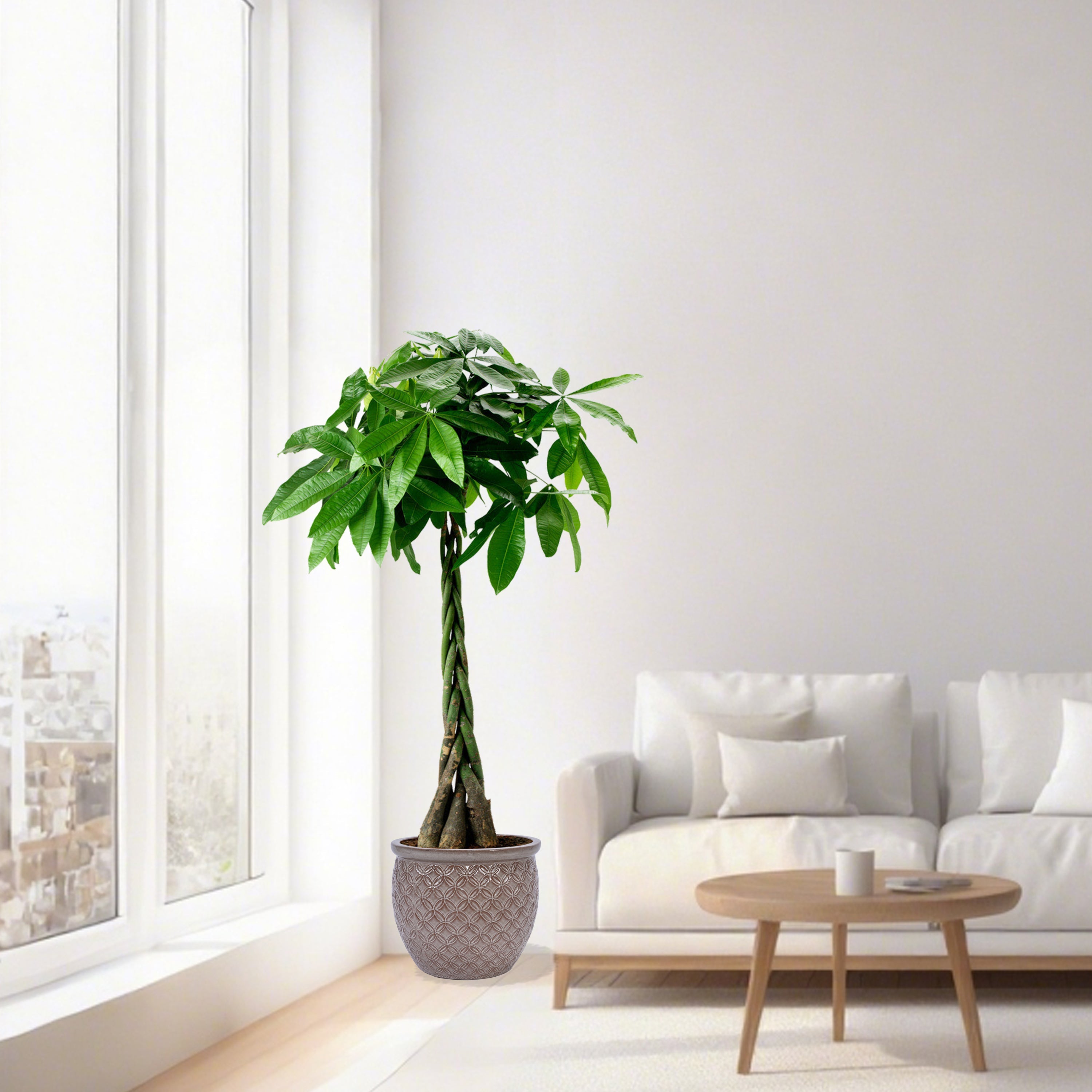 3 Pieces Ceramic Flowerpot, Modern Planter for Patio, Garden or Windowsills - Antique Yellow