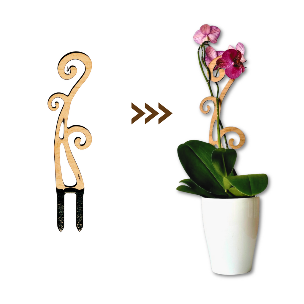 Flora™ - Plant trellis designed for Orchids