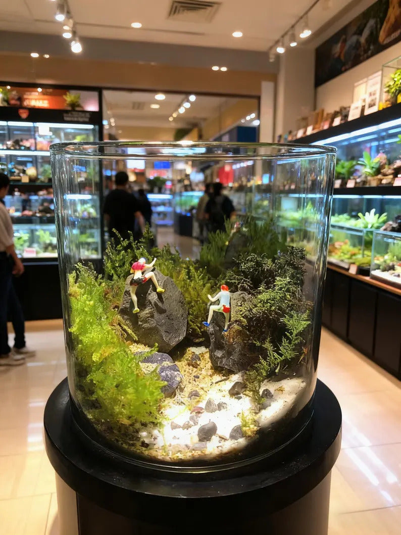 Live Moss Terrarium in Glass Jar Mini Bioactive Mossarium with Stone & Tiny Figurine Natura Desktop Ecosystem DIY Mini Garden Gift for Lover