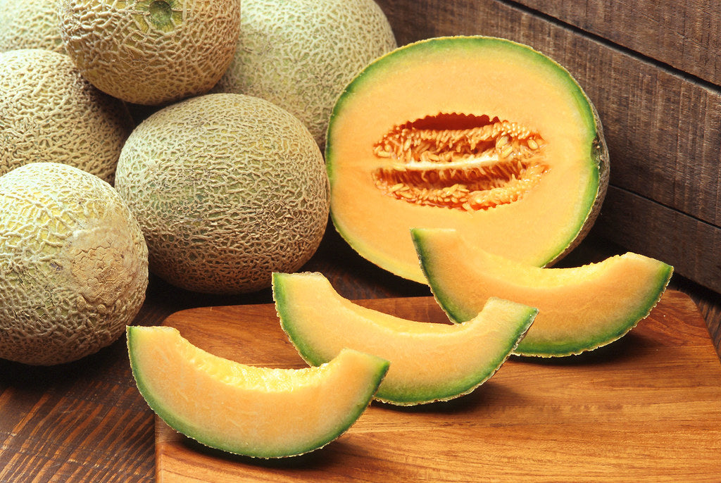 125 Hale's Best Jumbo Cantaloupe Seeds