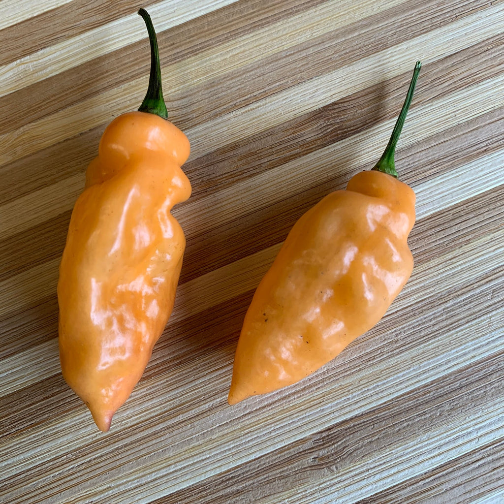 Bhut Jolokia Peach x Pimenta de Neyde - Seeds