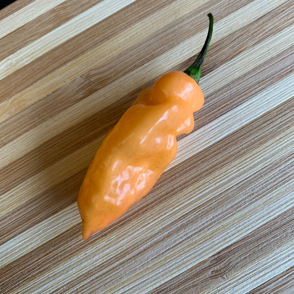 Bhut Jolokia Peach x Pimenta de Neyde - Seeds