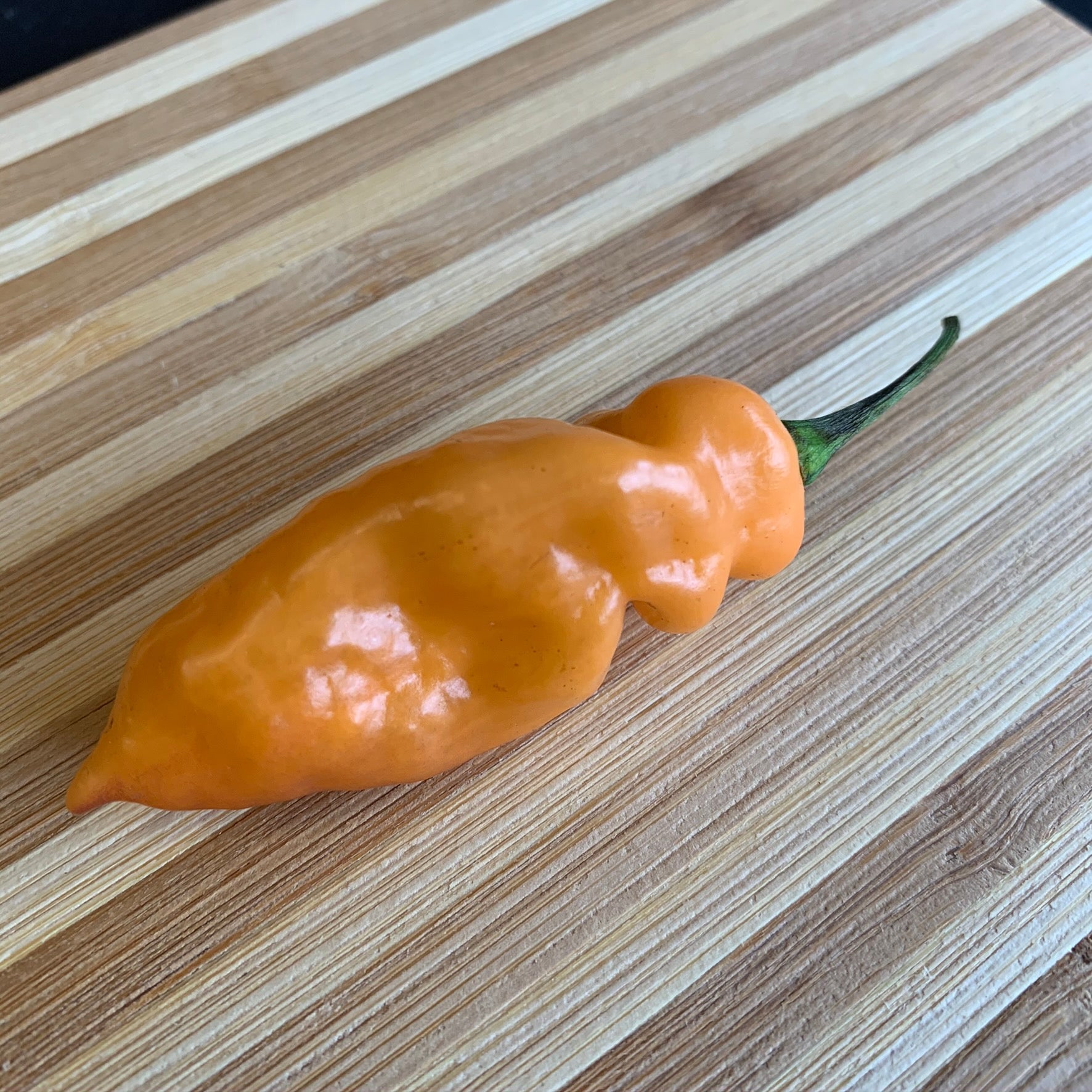 Bhut Jolokia Peach x Pimenta de Neyde - Seeds