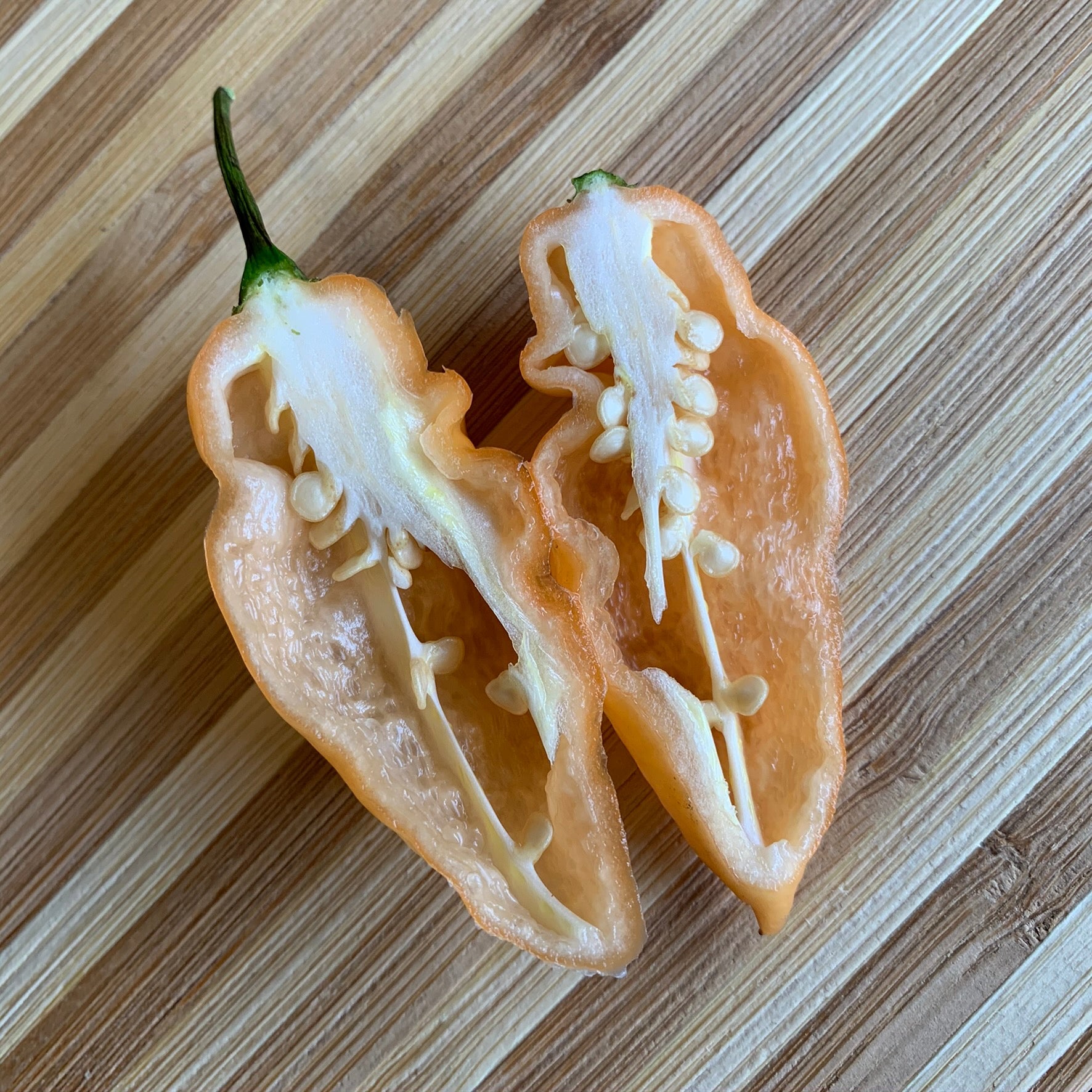 Bhut Jolokia Peach x Pimenta de Neyde - Seeds