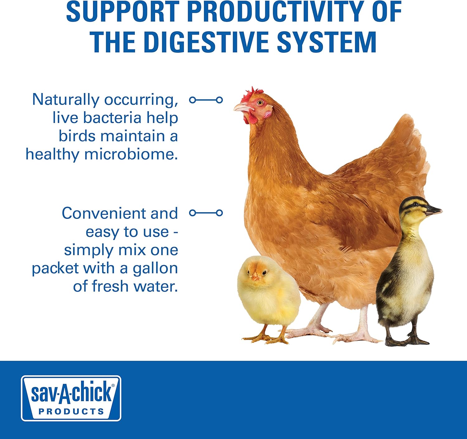 Chicken Adult Bird Sav-a-chick Probiotic Digestive Health Supplement Poultry 3pck