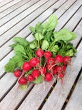 500 Cherry Belle Radish