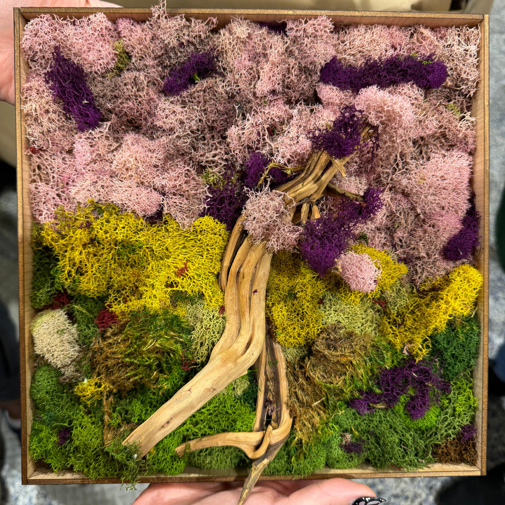 Moss Art Frame Workshop - August 20th at 6 PM