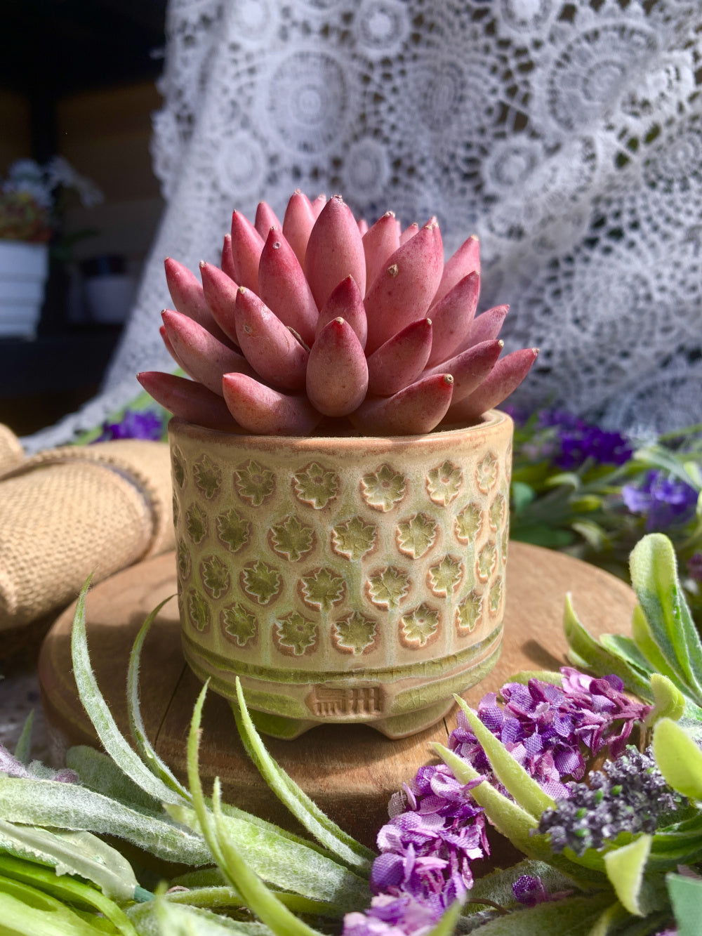WS0025 Artisan Handcrafted Pottery Planter Pot - Pot rim diameter: 2.4"