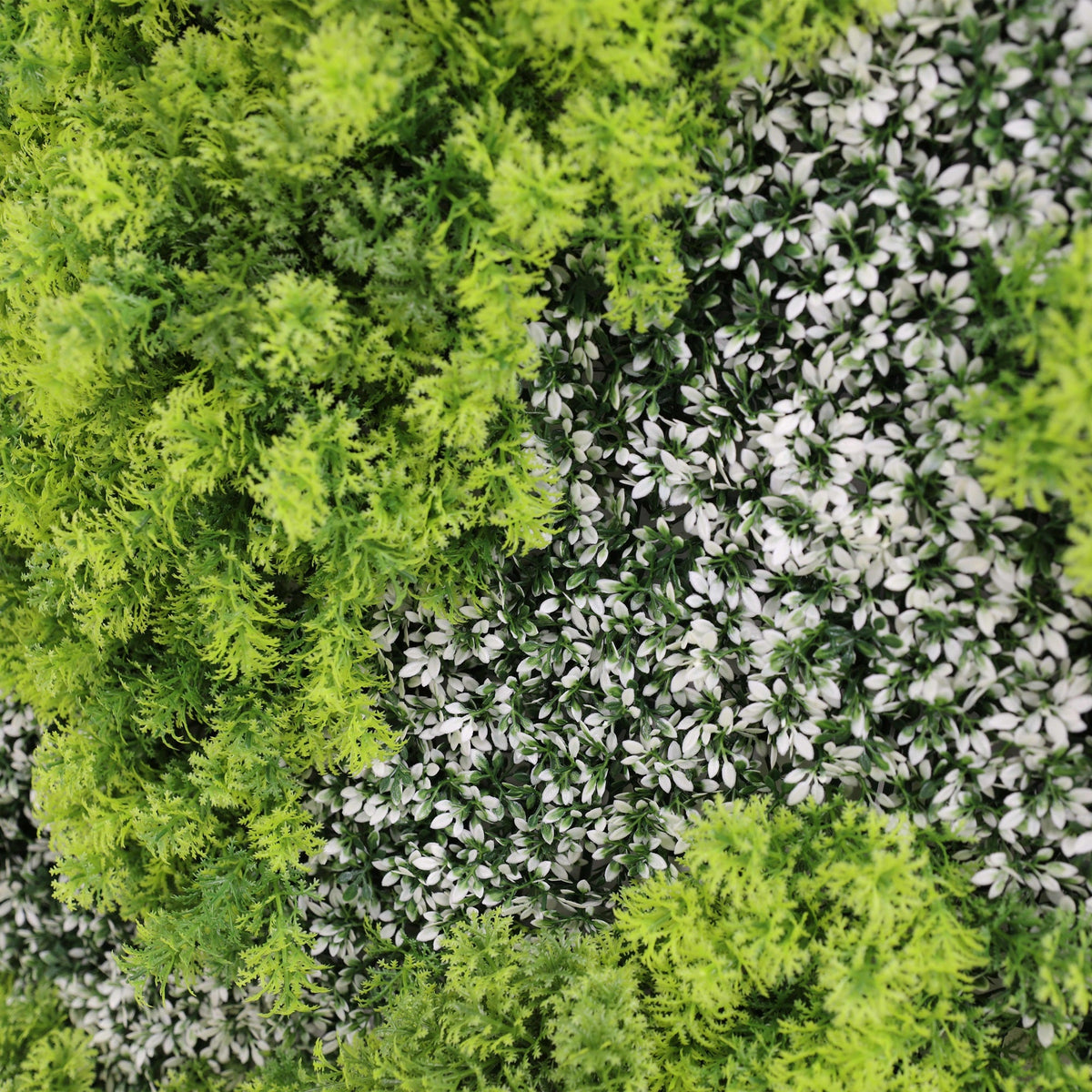 Natural Green and White Moss Artificial Vertical Garden Green Wall Panel 40×40in – UV Resistant – Commercial Grade