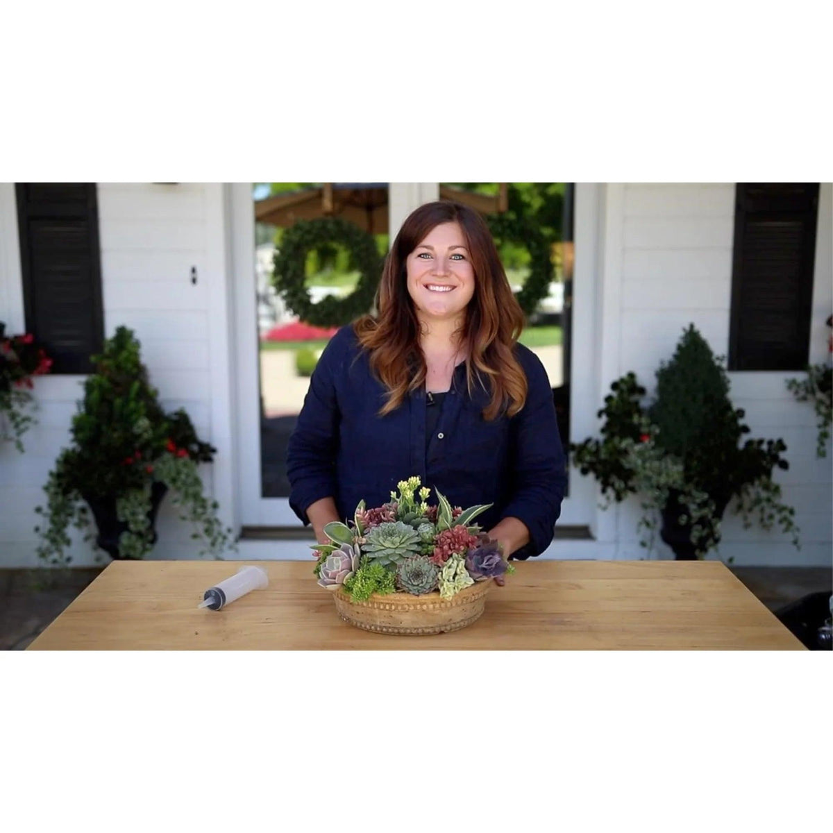 Organic Cactus Potting Mix | Bumble Plants
