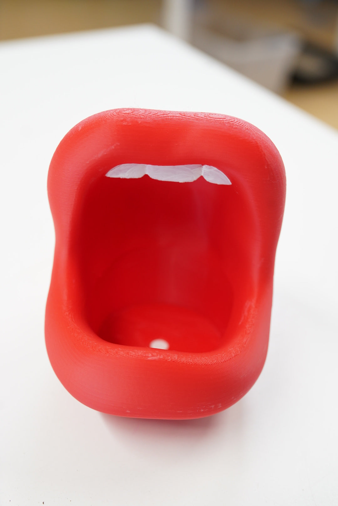 3D Lips Planter