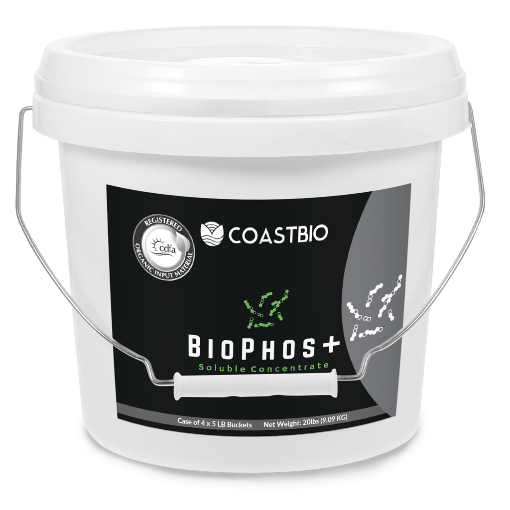 BioPhos+