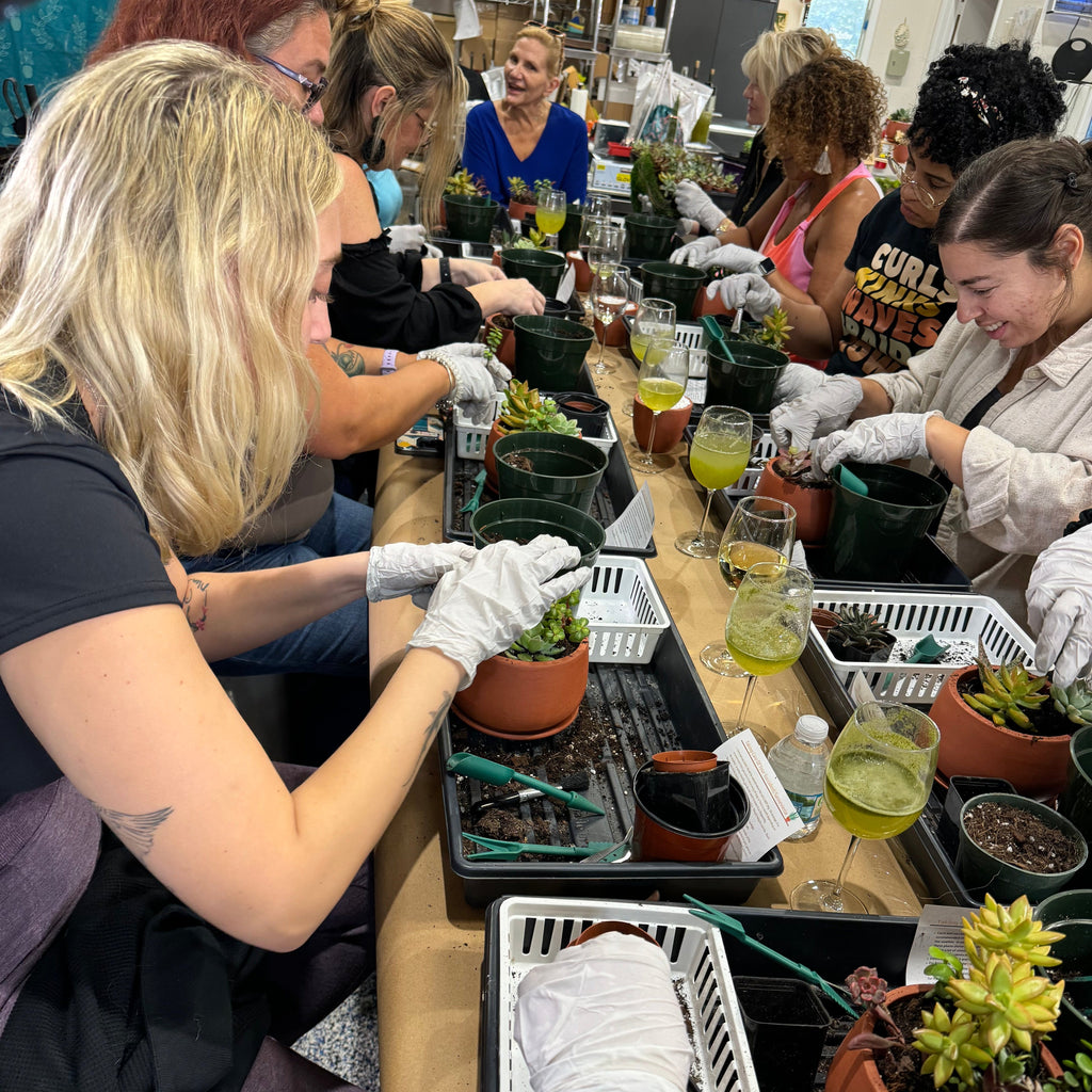 Moss Art Frame Workshop - August 20th at 6 PM