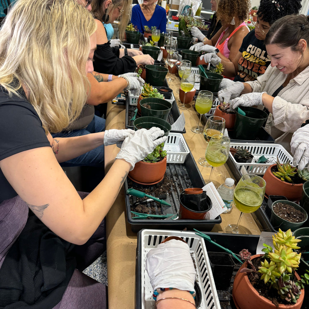 Love Grows Here Succulent Workshop- TBD