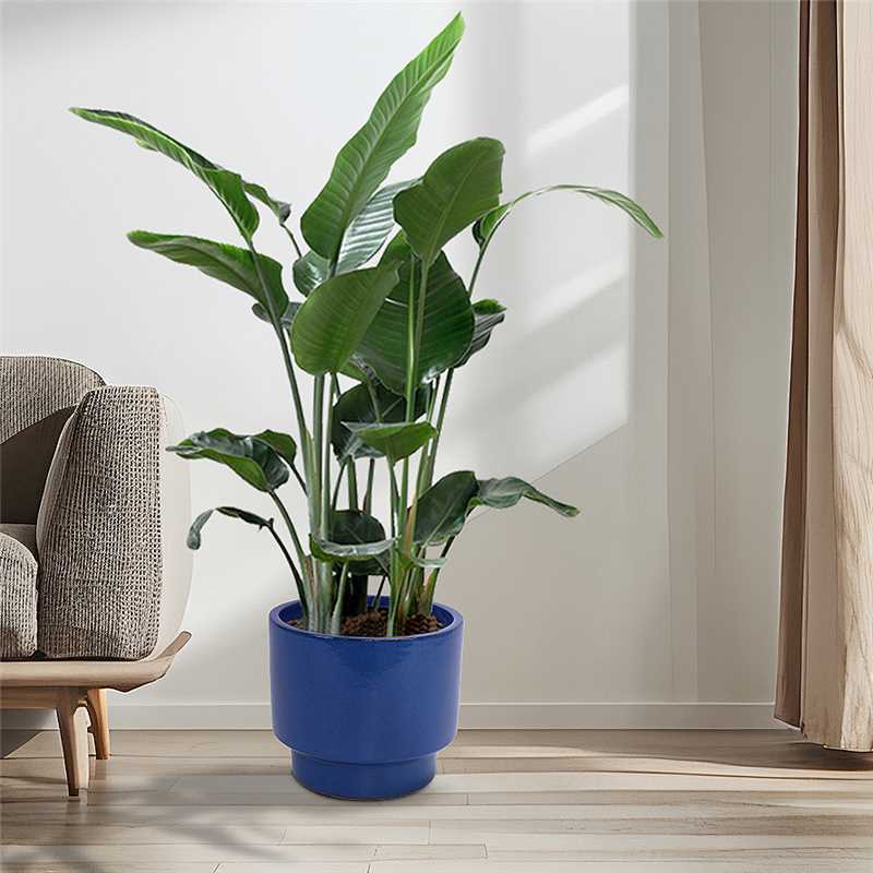 3 Pieces Ceramic Flowerpot, Modern Planter for Patio, Garden or Windowsills - Antique Blue Green