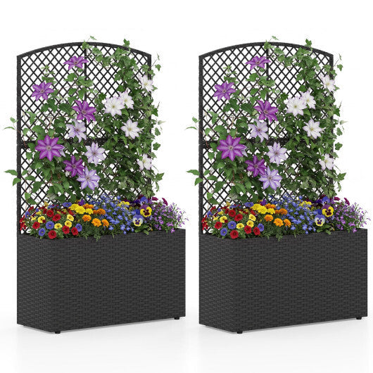 Set of 2 49 Inch Raised Garden Bed with Trellis and Wicker Planter Box-Black