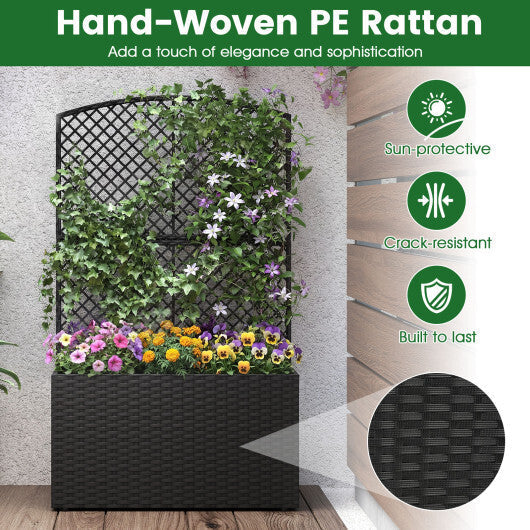 Set of 2 49 Inch Raised Garden Bed with Trellis and Wicker Planter Box-Black